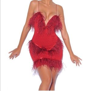 Brand new Red Miss Circle dress  ❣️❤️